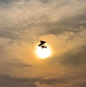 traveler