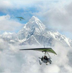 traveler